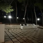 In Pineta *